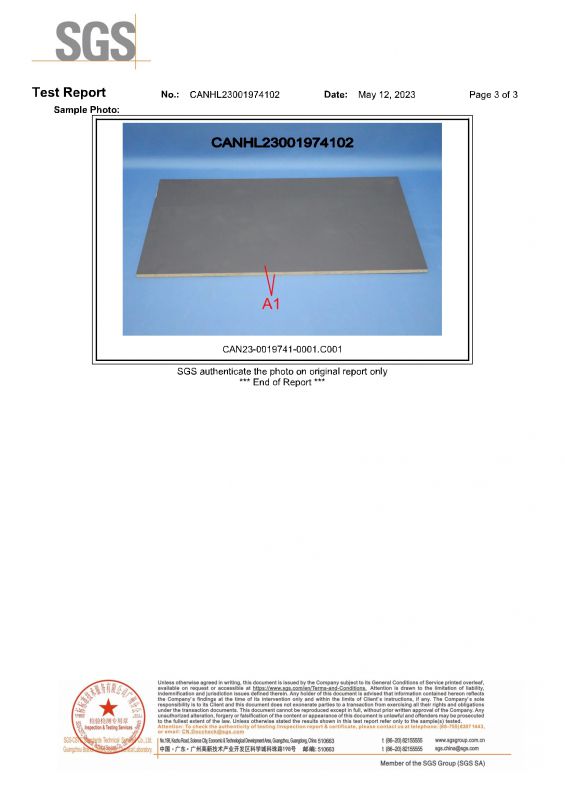 2023SGSJ9集团国际家居检测汇报英文版