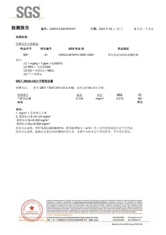 2023SGSJ9集团国际家居甲醛检测汇报中文版
